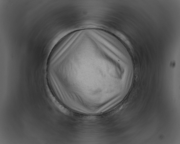 X0000090951431200708241117