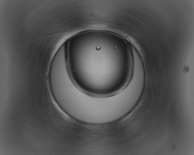 X0000090951432200708241117