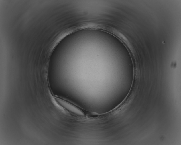 X0000090951433200708241117