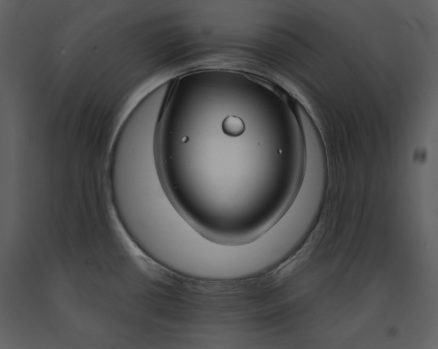 X0000090951434200708241117