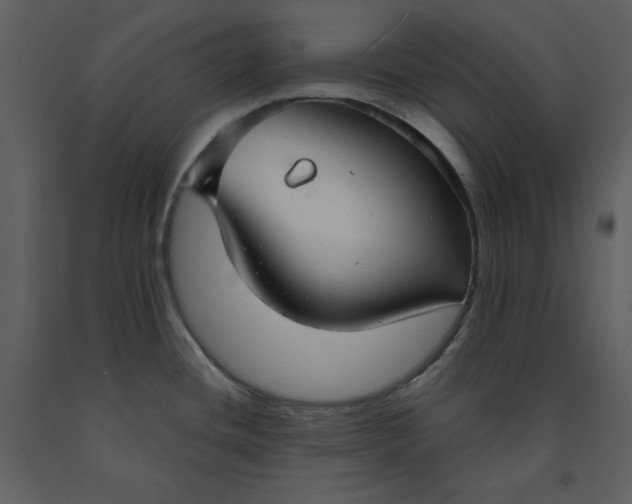 X0000090951436200708241118