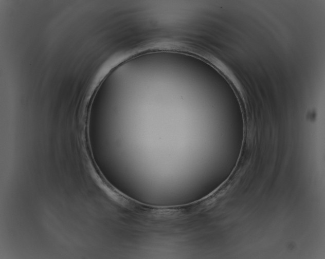 X0000090951437200708241118