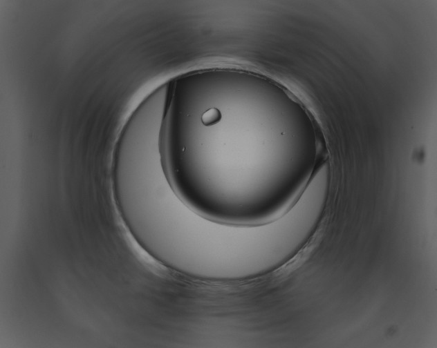 X0000090951438200708241118