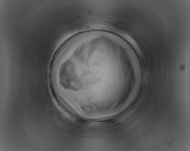 X0000090951439200708241118