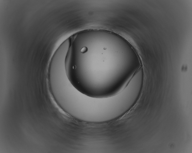 X0000090951440200708241118