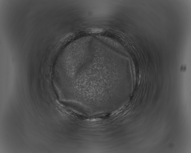 X0000090951441200708241117