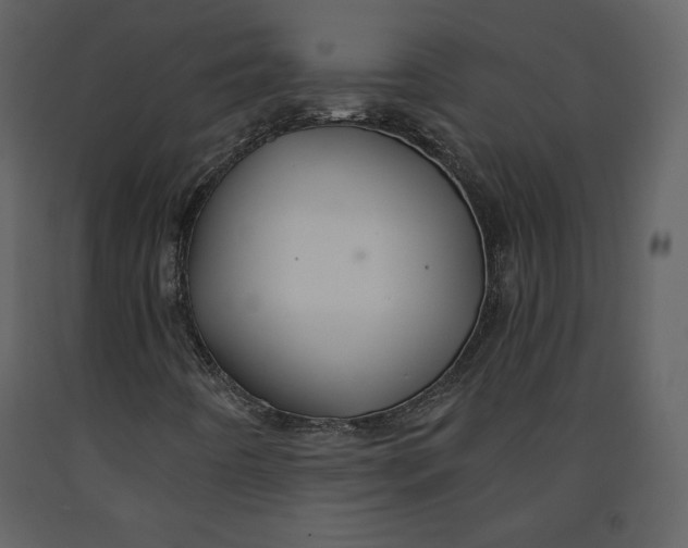 X0000090951442200708241117