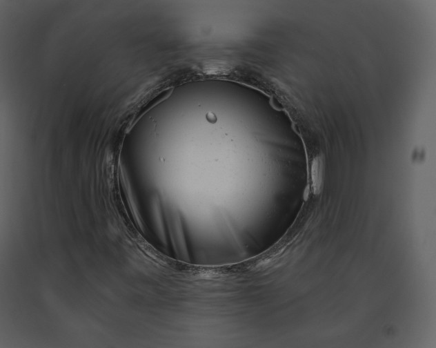 X0000090951443200708241117