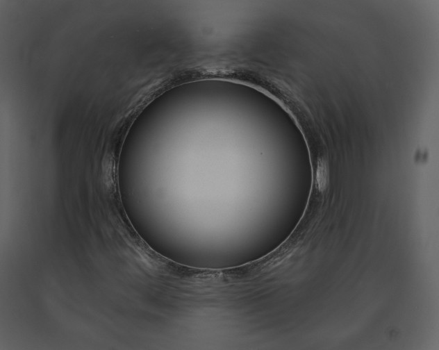 X0000090951444200708241117