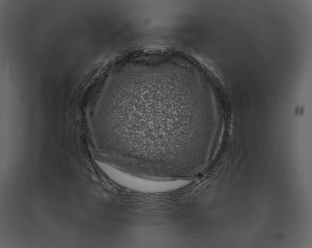 X0000090951445200708241117