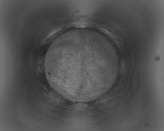 X0000090951446200708241117
