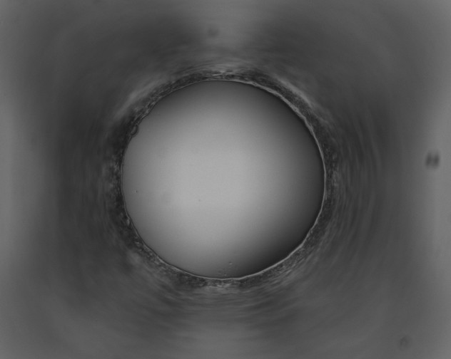 X0000090951447200708241117