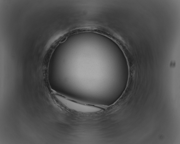 X0000090951448200708241117