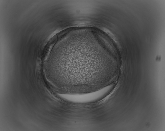X0000090951449200708241117