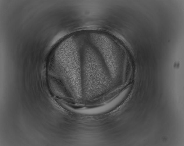X0000090951450200708241117