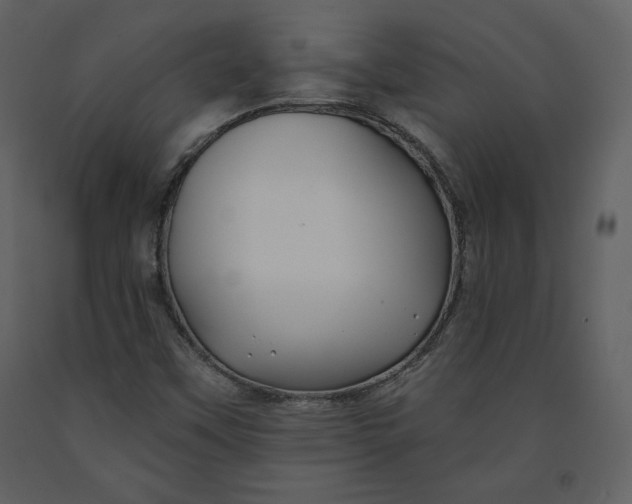 X0000090951451200708241117