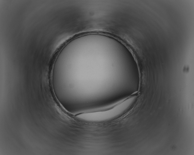 X0000090951452200708241117