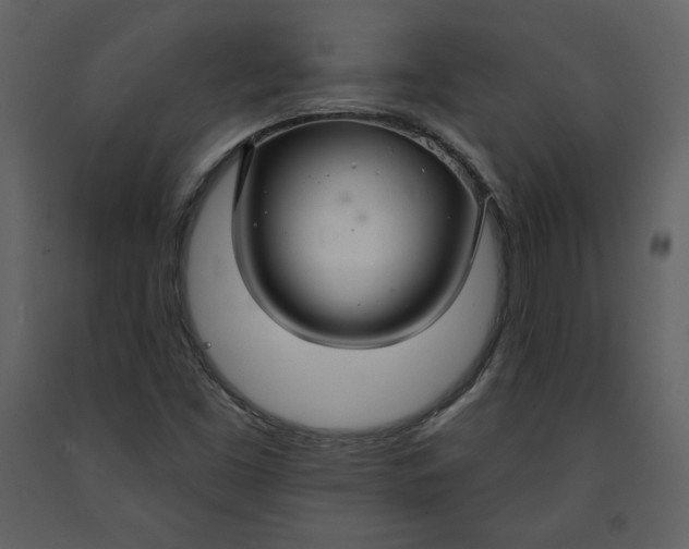 X0000090951453200708241117