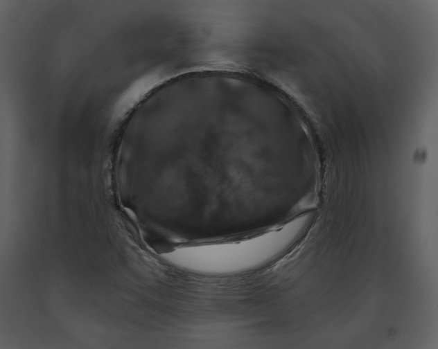 X0000090951455200708241117