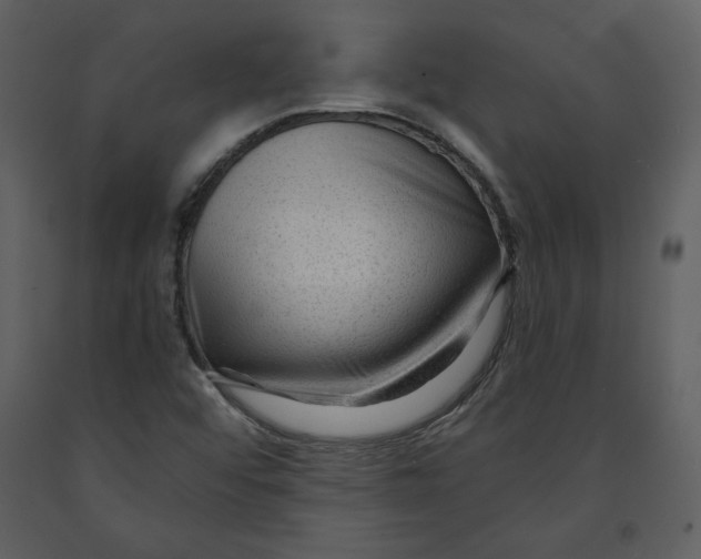 X0000090951456200708241117