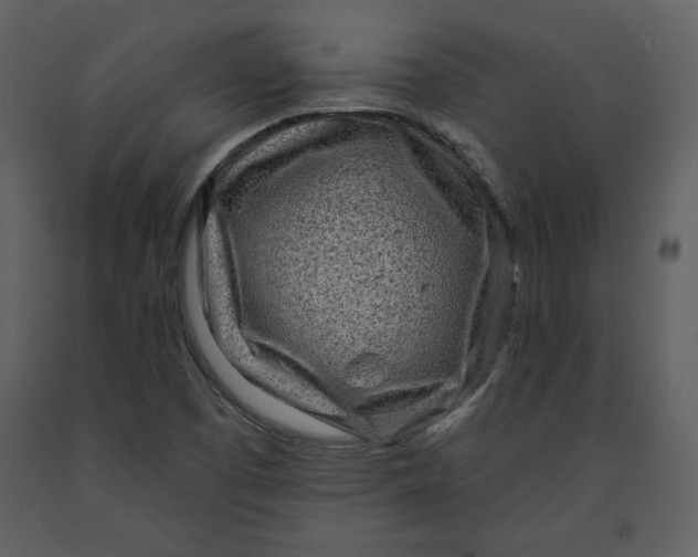 X0000090951457200708241117