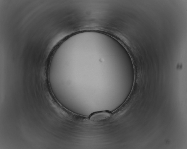 X0000090951458200708241117