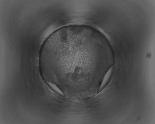 X0000090951459200708241117