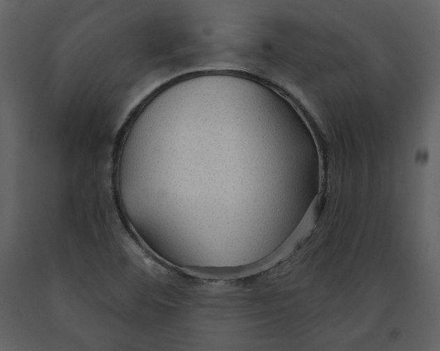 X0000090951460200708241117
