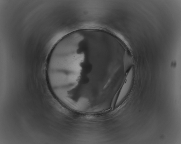 X0000090951463200708241117
