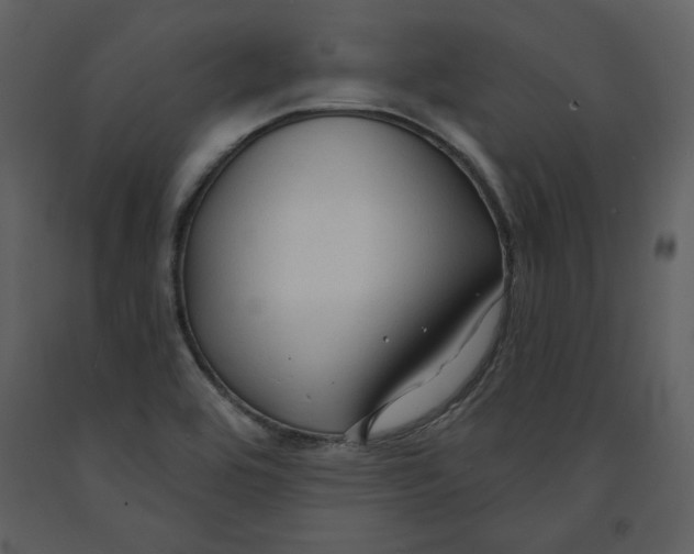 X0000090951464200708241117