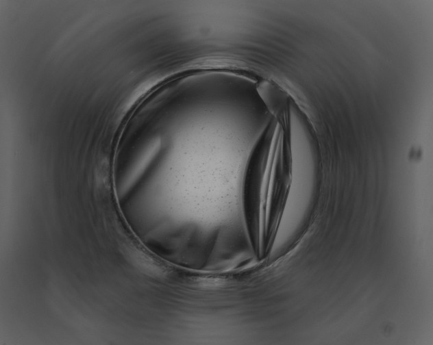 X0000090951465200708241117