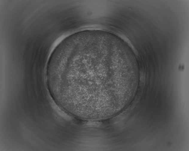 X0000090951466200708241117