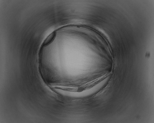 X0000090951467200708241117