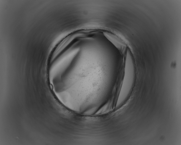 X0000090951469200708241117
