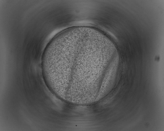 X0000090951470200708241117