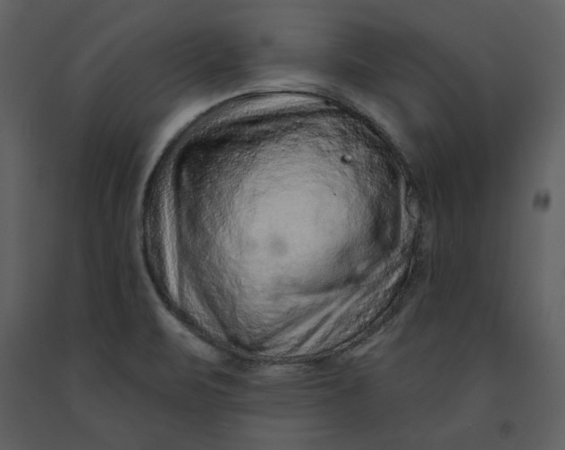 X0000090951471200708241116
