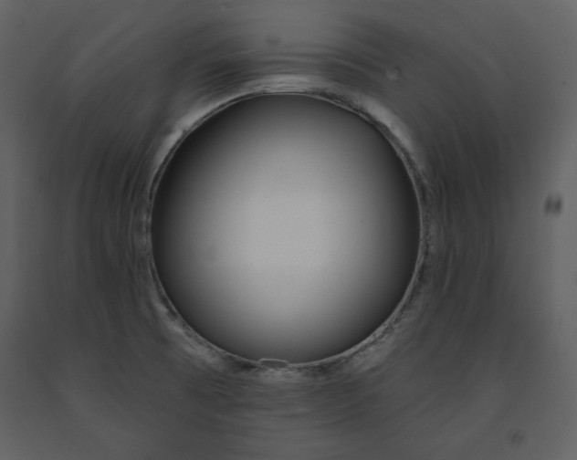 X0000090951473200708241116
