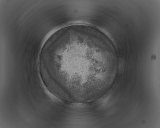 X0000090951474200708241116