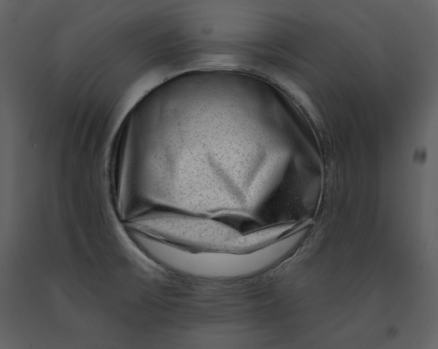 X0000090951475200708241116