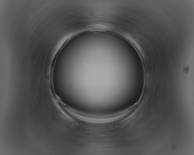 X0000090951477200708241116