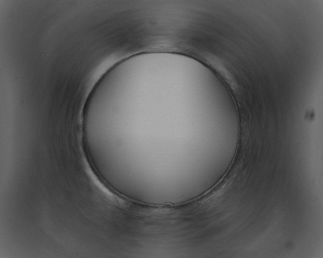X0000090951479200708241116