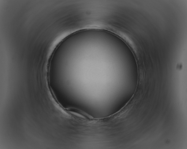 X0000090951480200708241116