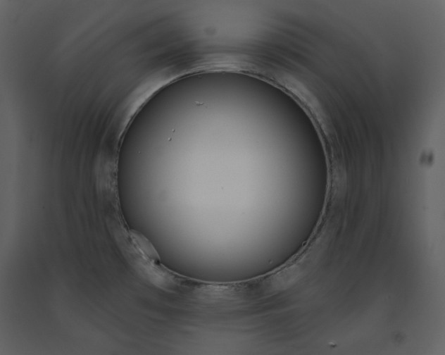 X0000090951481200708241116