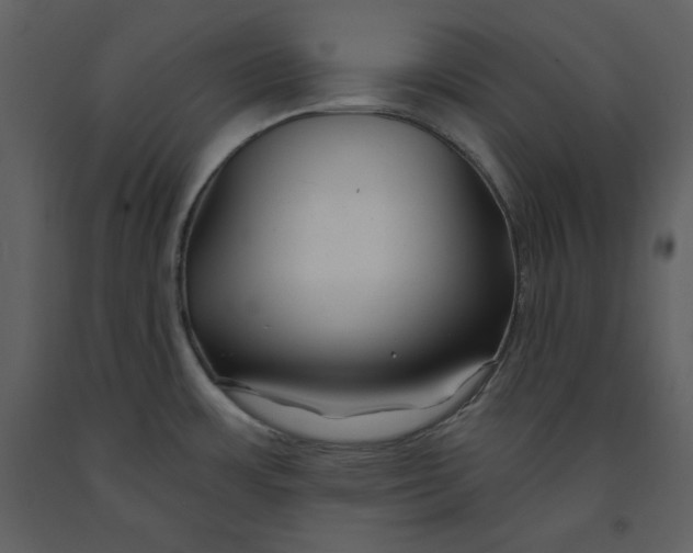 X0000090951483200708241116