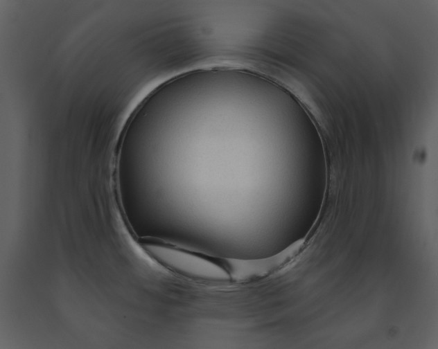 X0000090951484200708241116