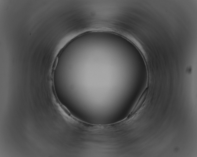 X0000090951485200708241116