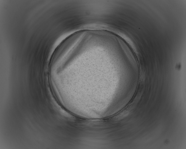 X0000090951486200708241116