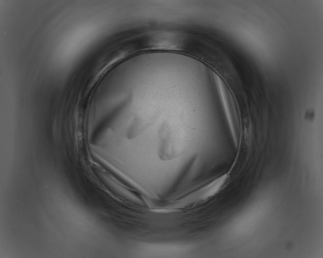 X0000090951487200708241116