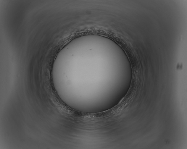 X0000090951489200708241115
