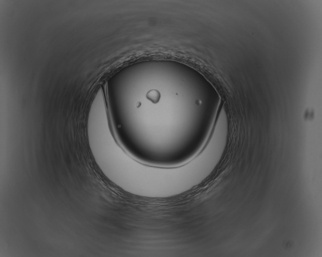 X0000090951490200708241115
